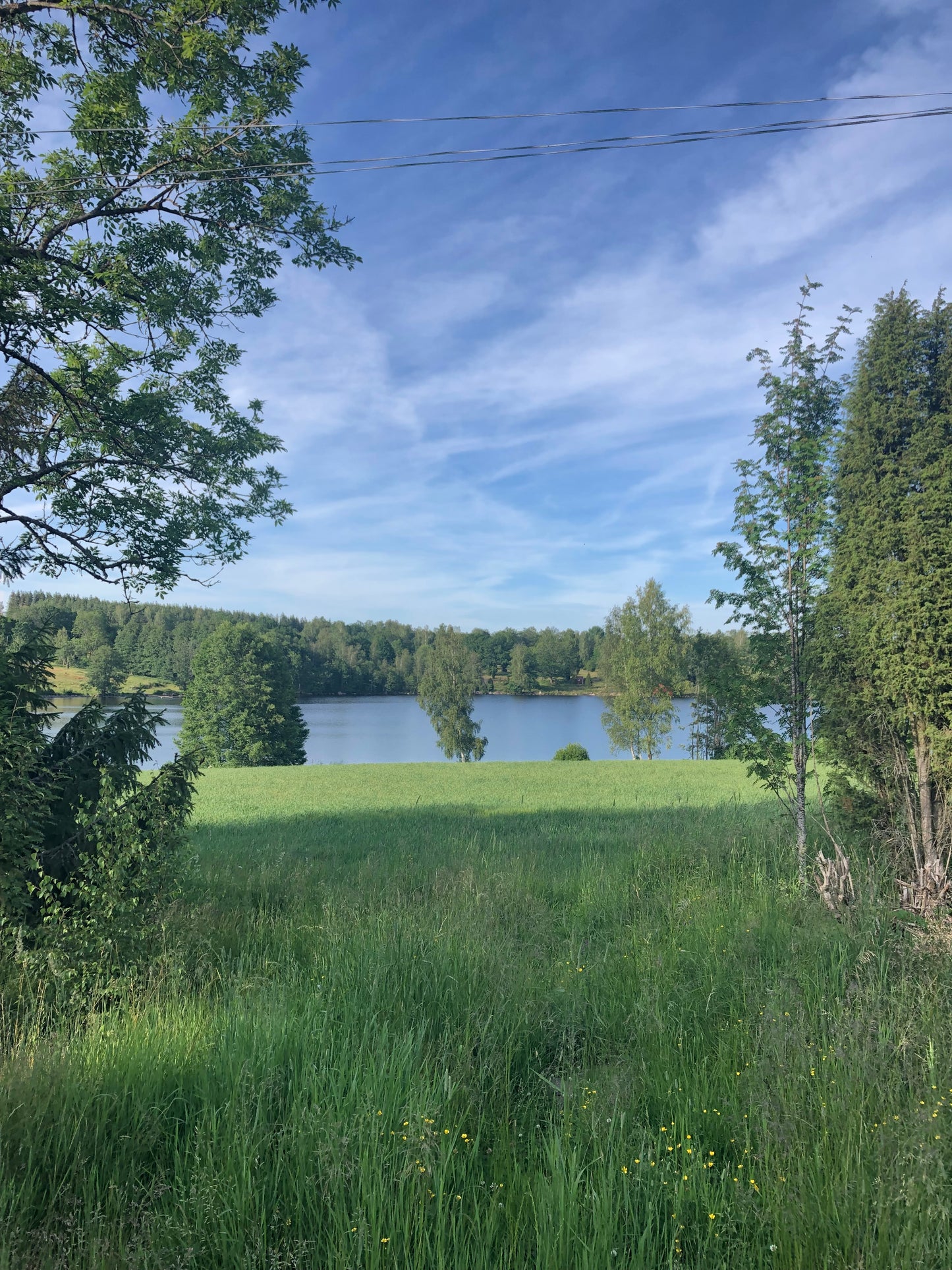 Retreat Frukulla. Skogen, kvinnorna och sången