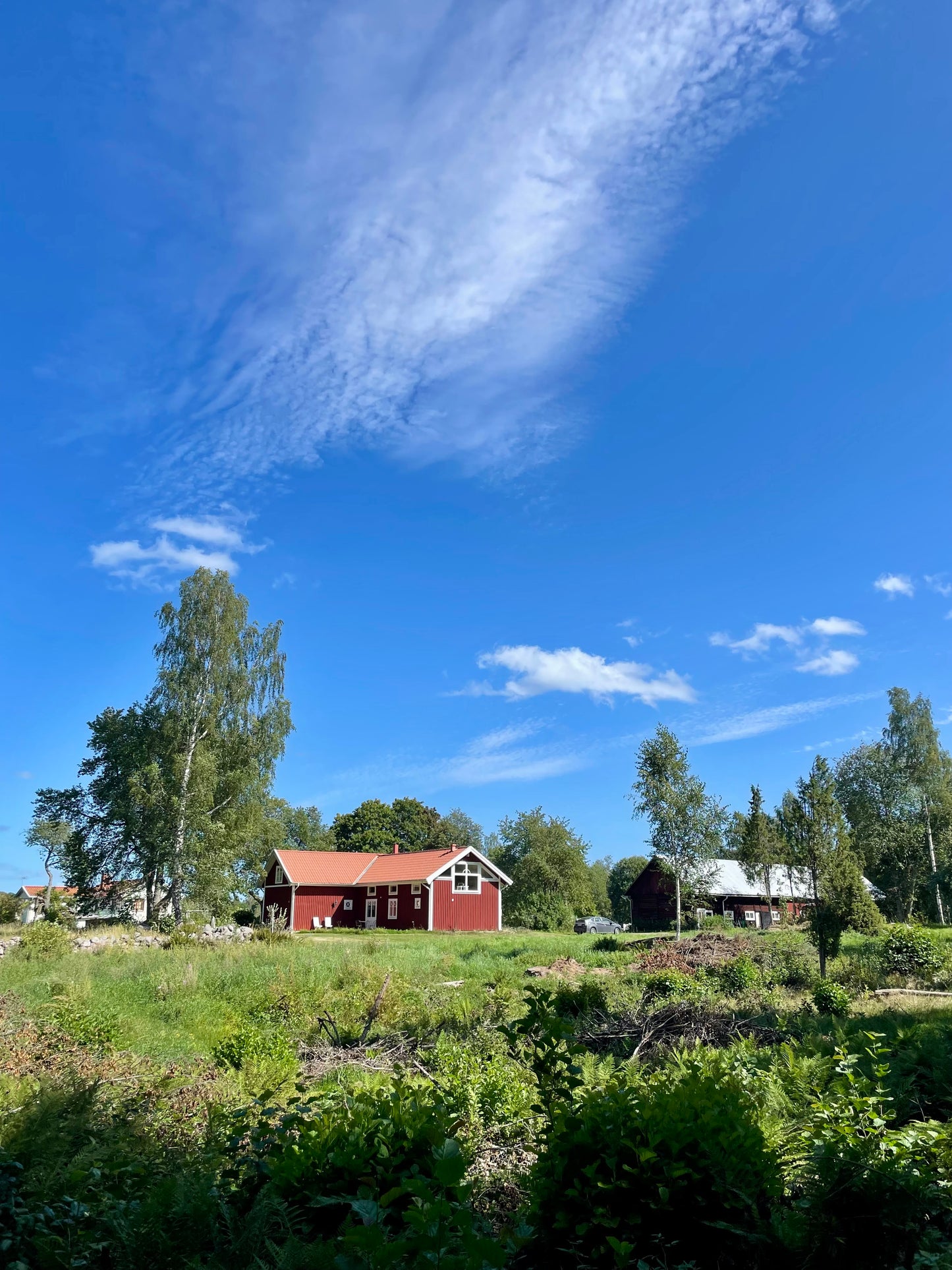 Retreat Frukulla. Skogen, kvinnorna och sången