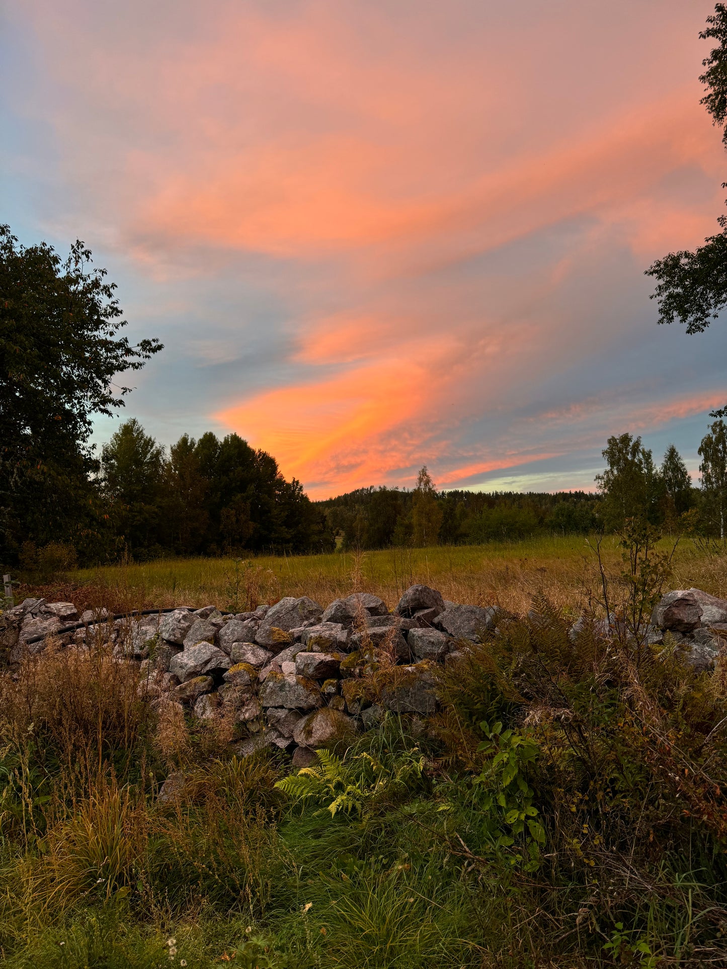 Retreat Frukulla. Skogen, kvinnorna och sången