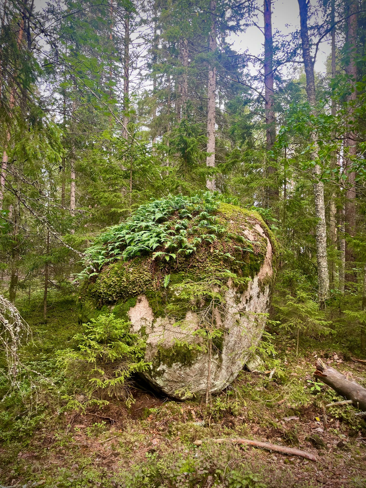 Retreat Frukulla. Skogen, kvinnorna och sången
